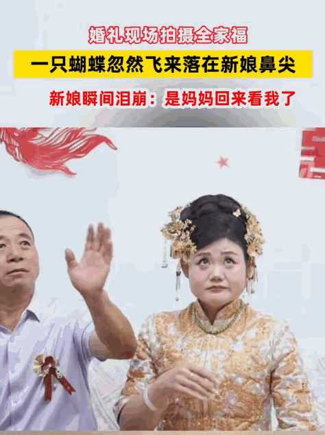 这一幕，连科学都解释不了！山东，婚礼当天，新娘出门前正和爸爸拍合照。突然，一只蝴