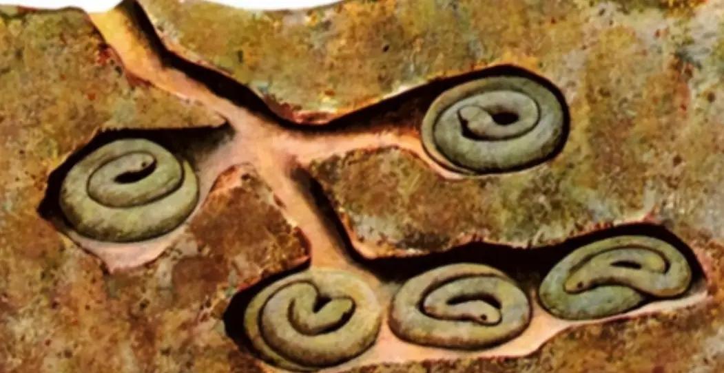 蛇冬眠的时候有多危险？一个专业捕蛇人坦言：90%的人根本想不到，一旦蛇进入冬眠，