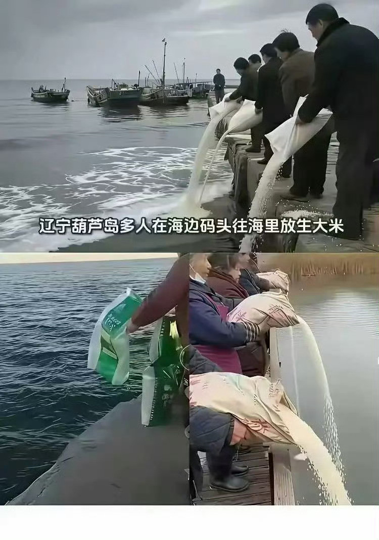 人果然不能吃太饱了，建议把他们的退休金停了吧！