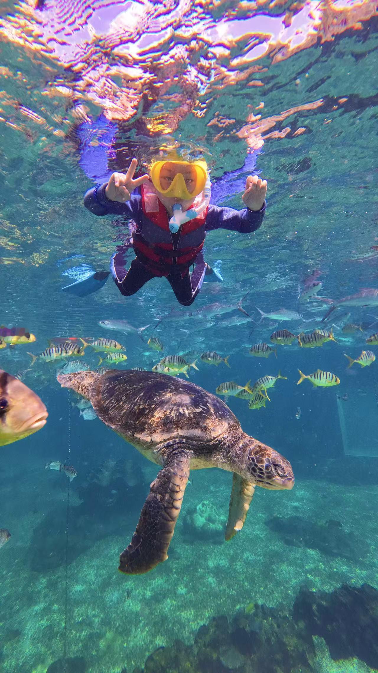 带娃去三亚海棠湾别错过浮潜，孩子特别有成就感，玩了还想玩。这次带我π宝去海棠湾
