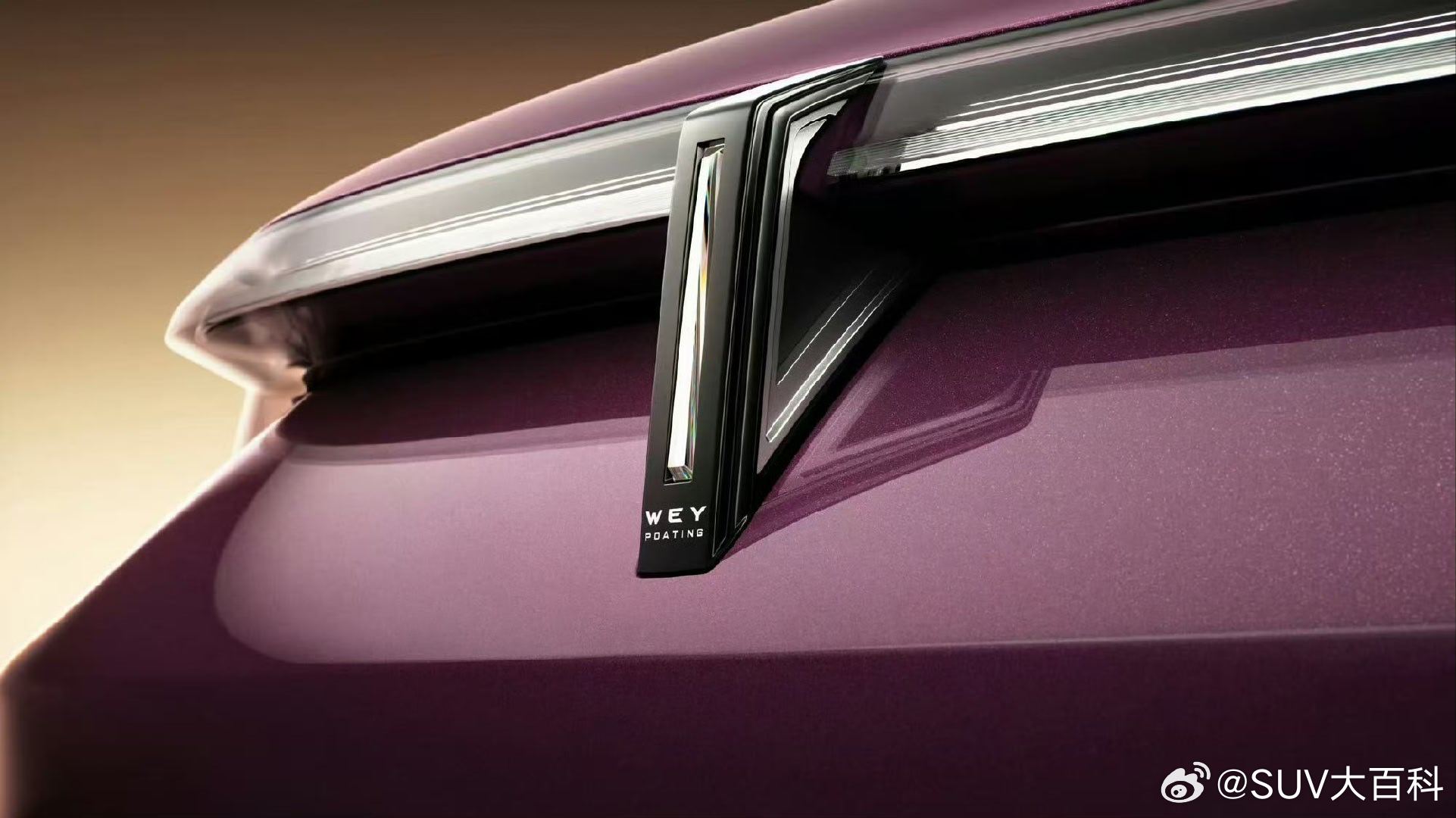 魏牌V9X，给现在已经十分拥挤的大型SUV市场又添了一个新角色。归元S平台，车身