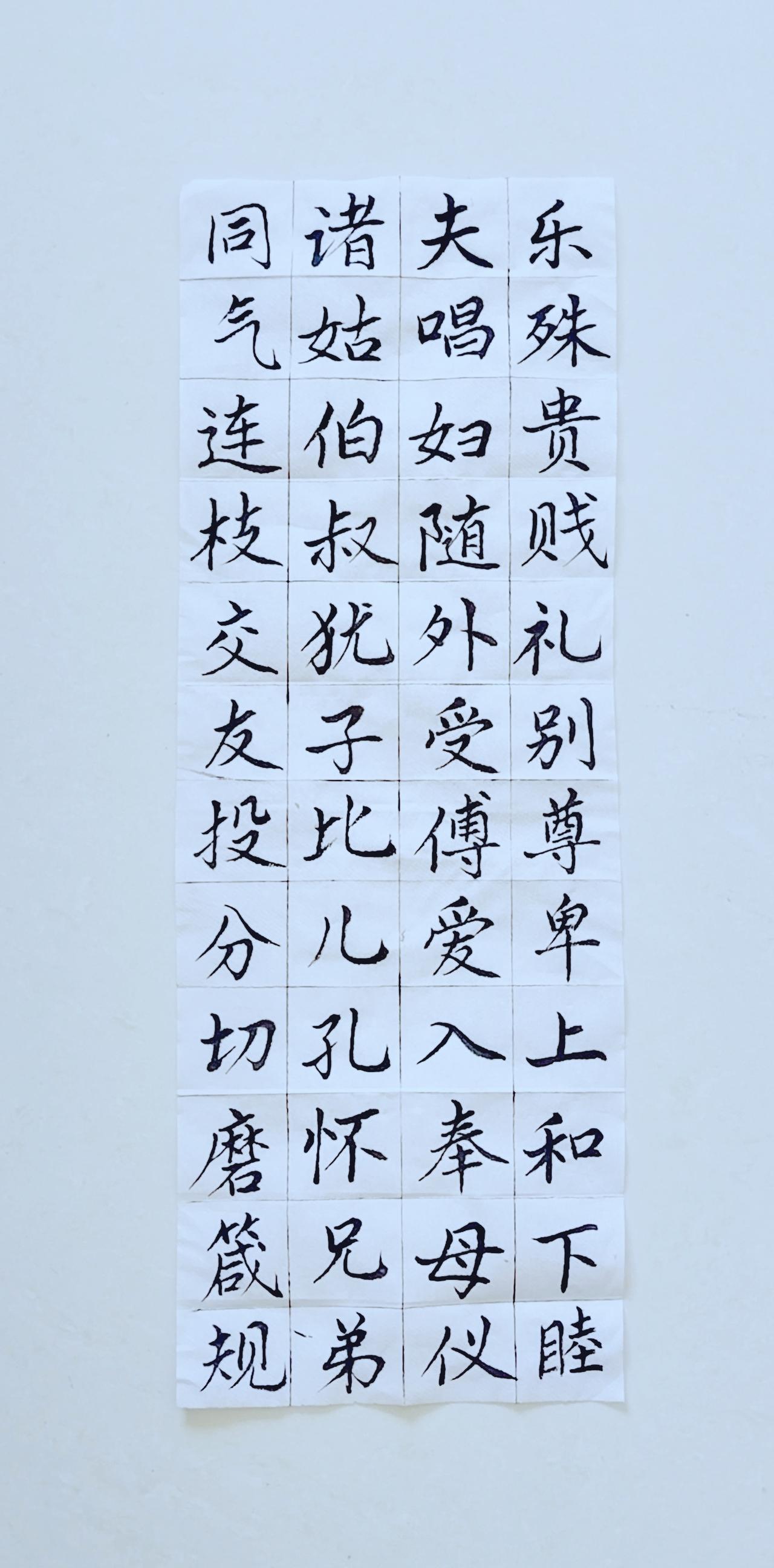 第五十三天《千字文》（8）正楷毛笔练习！