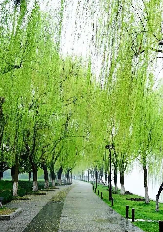 父母与子女相处密码：不争对错，只论亲情1. 少指责，多看见不拿孩子当出气