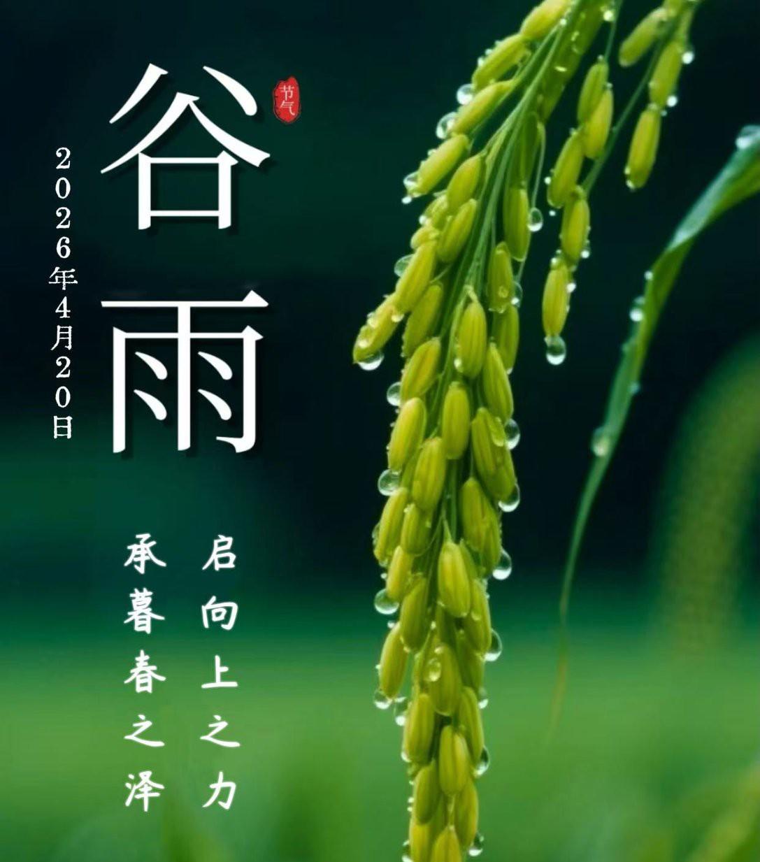 谷雨润万物，愿生活如细雨丰盈，春归夏至，心怀希望迎接繁花盛开的季节。早安[万柿如