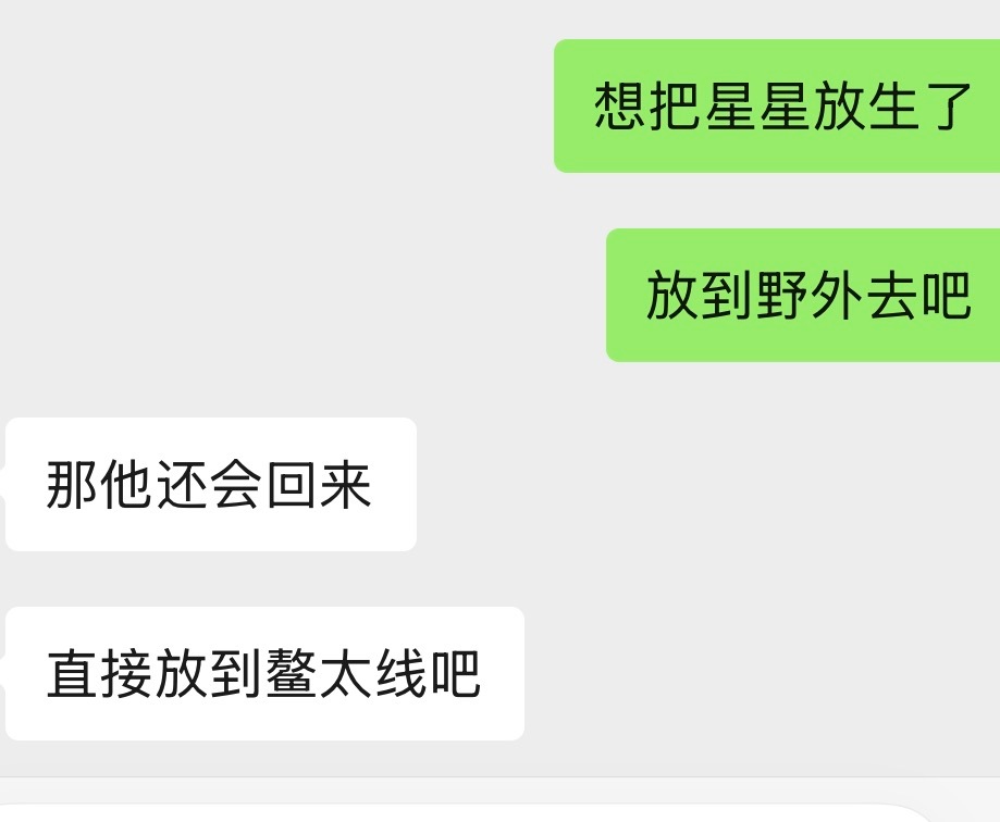 星星徒步回来就这样​​​