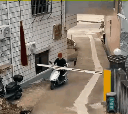 还真的是世界之大，无奇不有呀！你说这事闹的奇不奇，怪不怪呀？像这样本不应该发生的