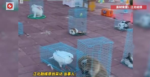 “太缺德了！”2025年7月，辽宁，一女子看到有摊位可套圈，可笼子里全是活体动物