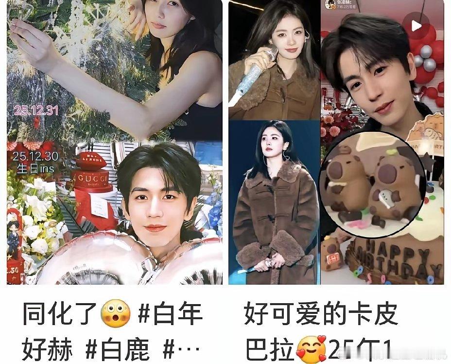 看《跑男》最新一期后。我手痒去扒了扒白鹿张凌赫的感情档案。不挖不知道，一挖一大串