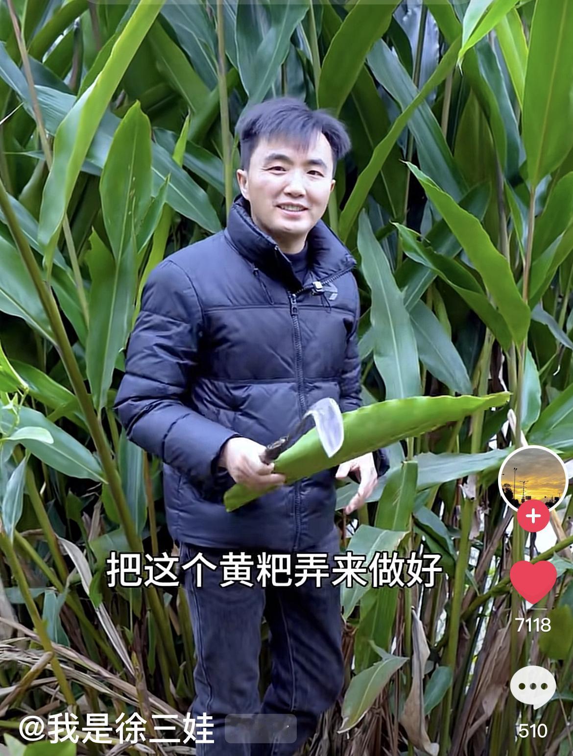 徐三娃过年美食-黄粑！割下新鲜宽大的良姜叶，洗净备用。淘洗好的糯米上锅蒸