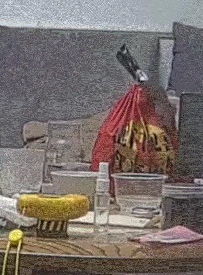 河南一位宝妈她点的外卖送到家后，随手放在客厅桌上就带孩子去洗手。短短几分钟回来，