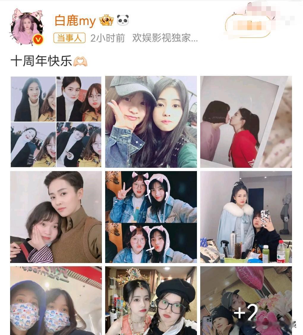 其实在11月12日之前，我是不知道白鹿长什么样子的，我只听说有这么一个人，因为经