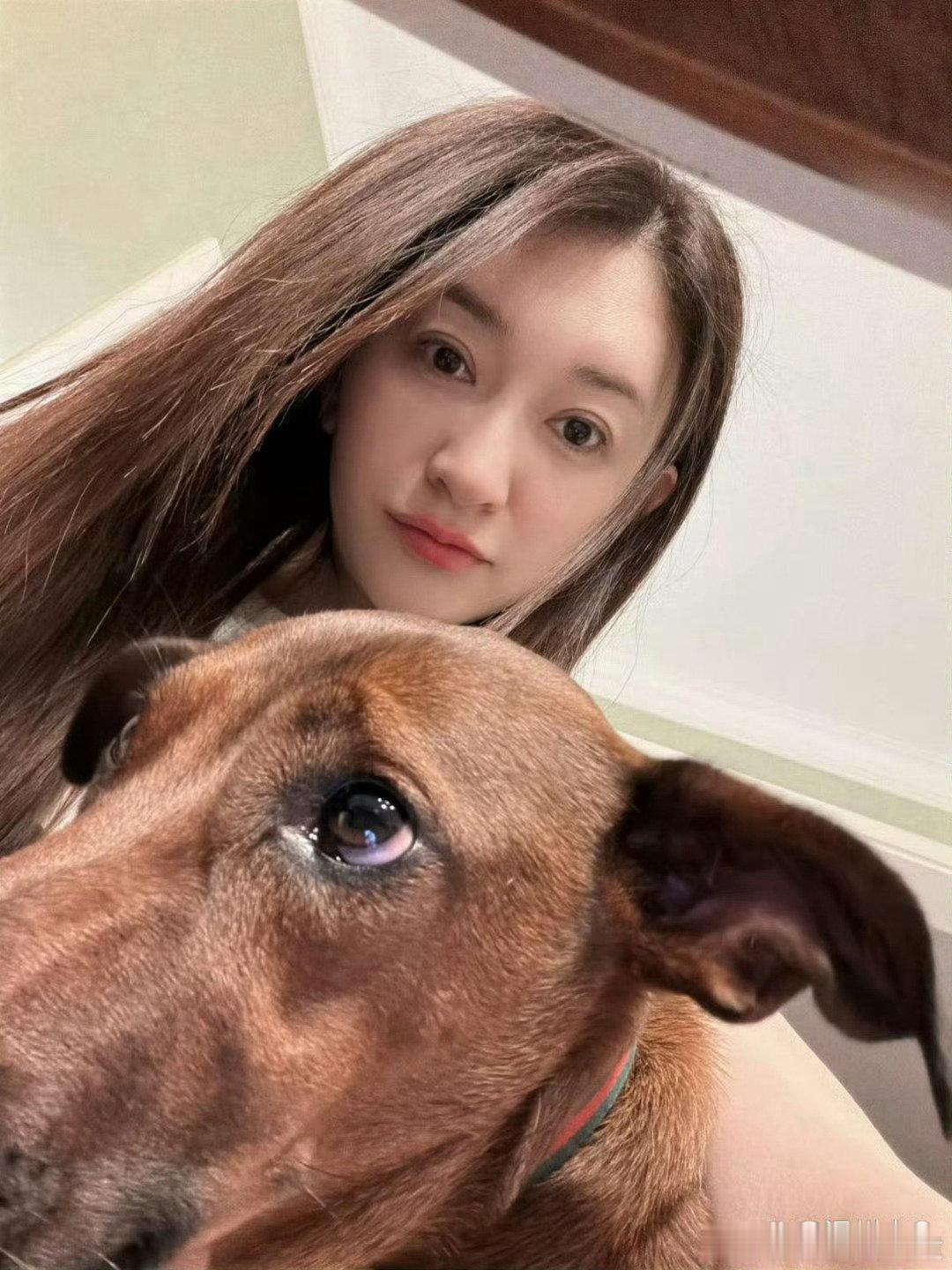 羡慕李小冉家的狗子，不仅能住大别墅，还能和单身女明星朝夕相处，多幸福啊～​​​