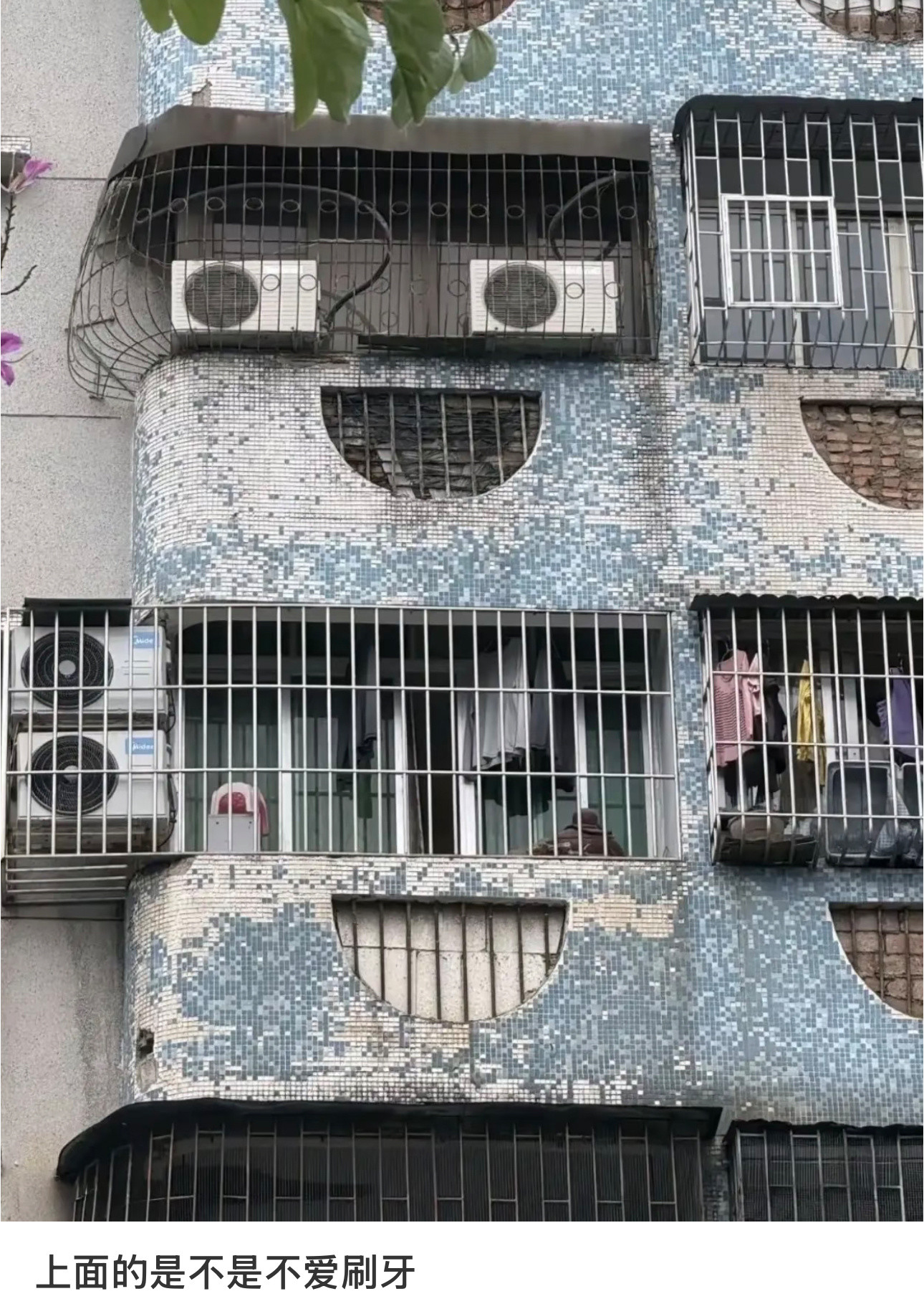 楼上的是不是不爱刷牙啊这么黑