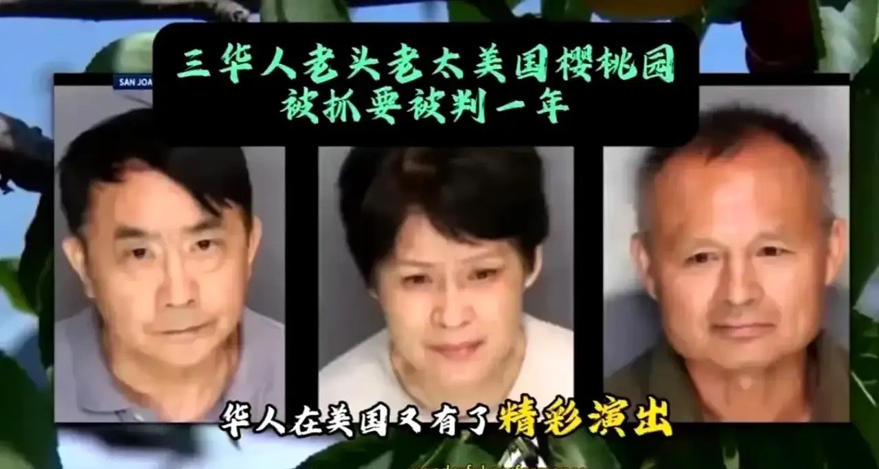 专家教授润美后竟然团伙盗窃简直难以置信！那些曾经在国内被