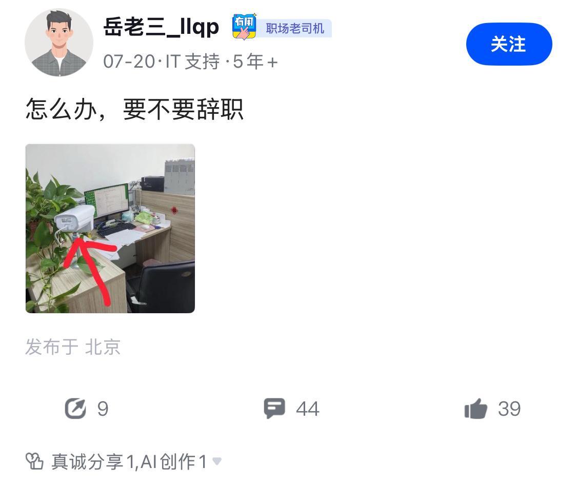 绝对的核心岗位。​​​