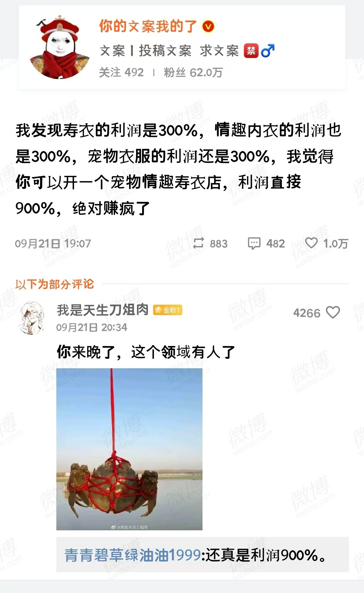 中国网友多鬼才，居然提出超级利润的“宠物情趣寿衣”概​​​