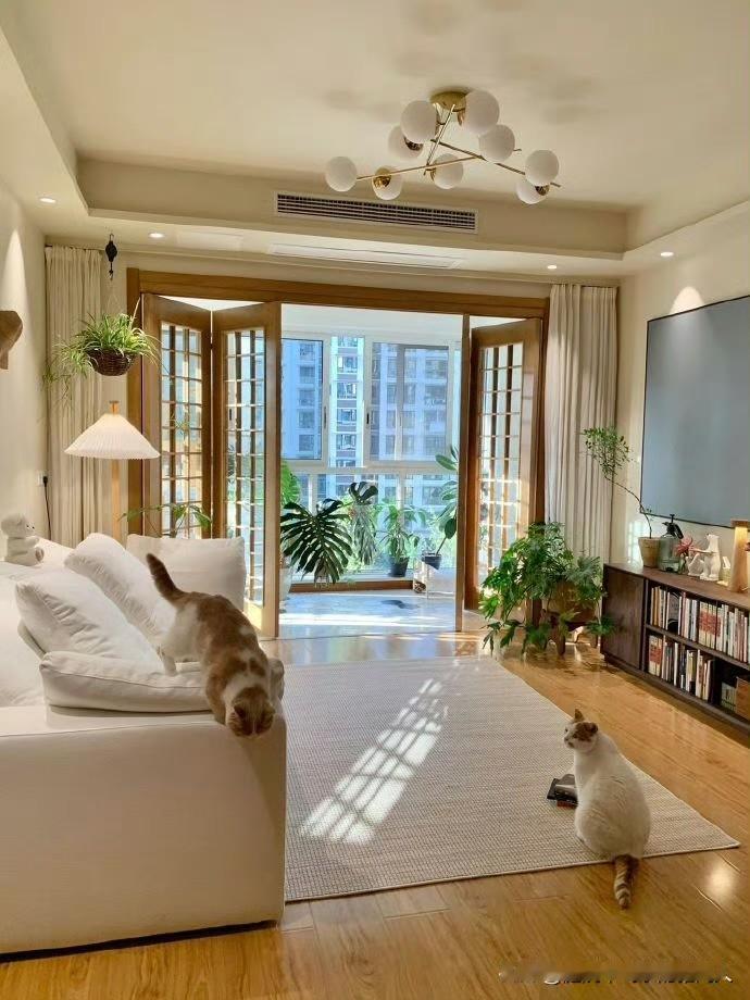 真佩服我的朋友，她早些年做生意，手里也有不少资金，但是一直租房子住。前几天我跟她