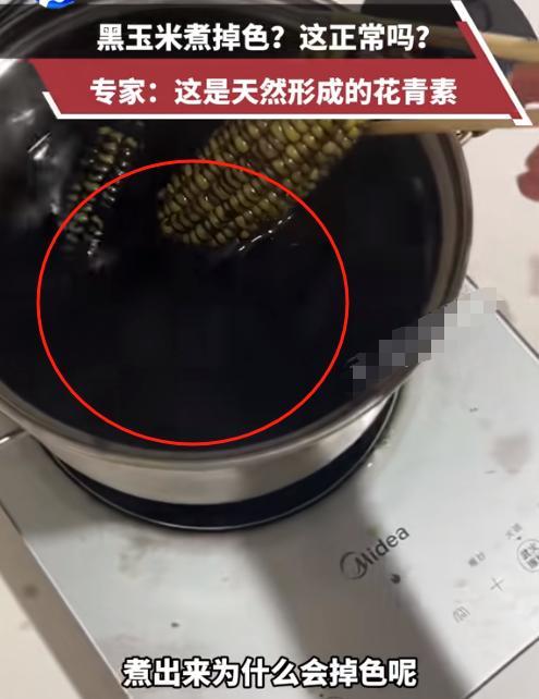 “真忍不住笑！”一网友网上买了几个黑玉米，煮完玉米掉色了，水变“漆黑”！专家解释