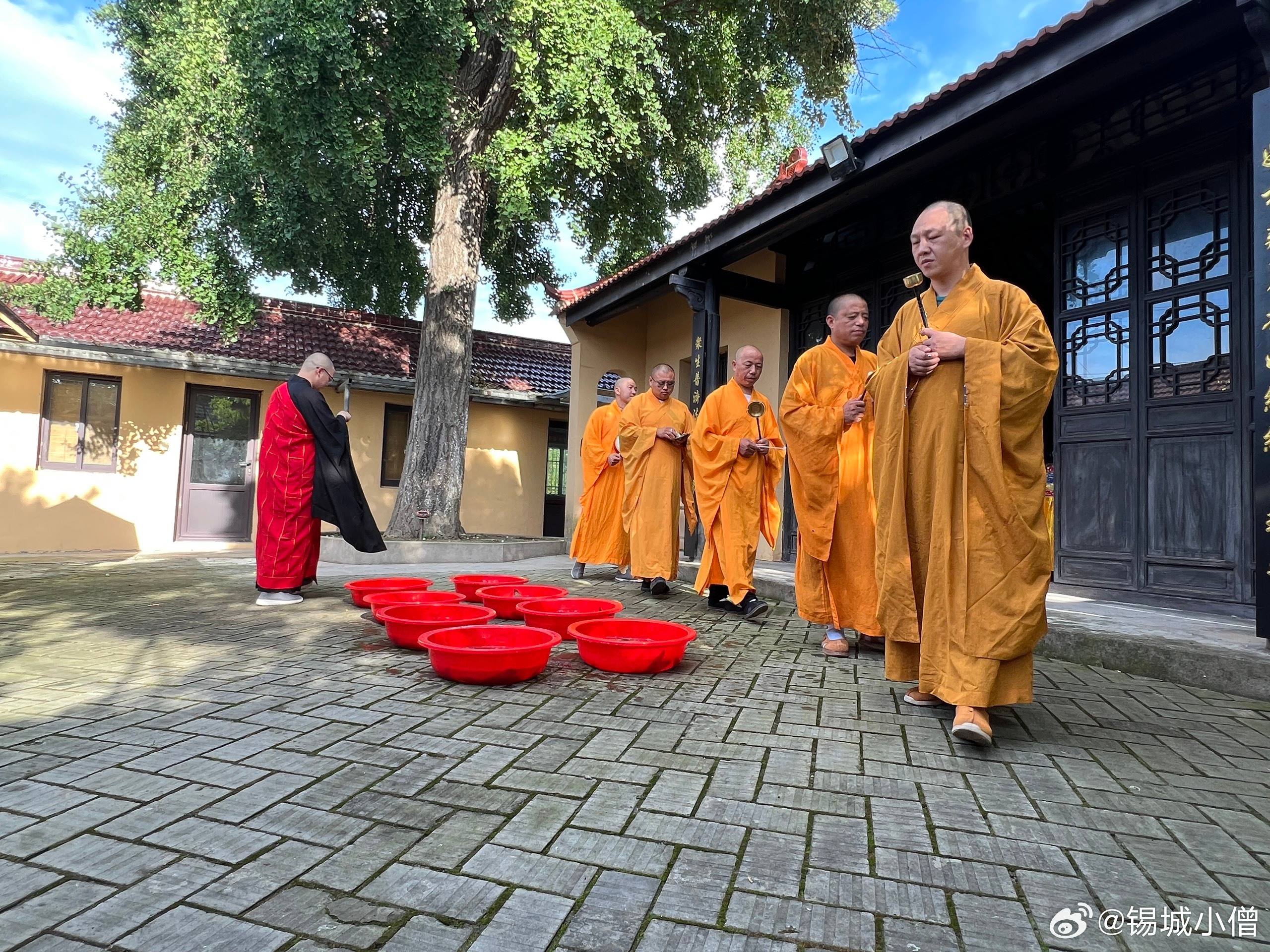 佛教就在明日｜六月十五放生登记日行一善，善行一生。尊重生命，爱护生命。慈悲放