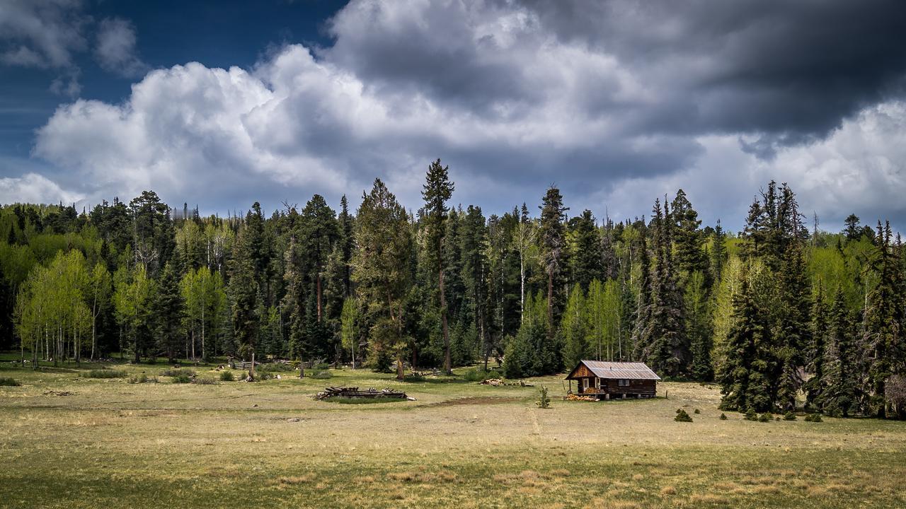 《做人别太较真，否则你一直都在输》在生活里，你会发现一个奇怪的现象：越是较真的
