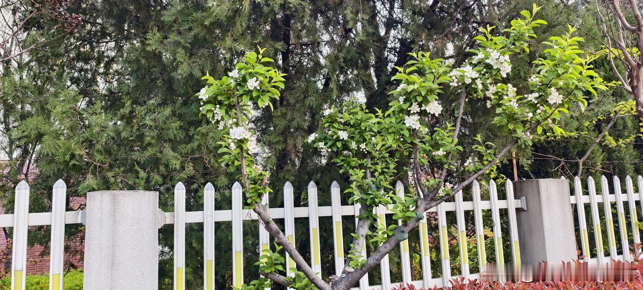 被“老油条”坑了半年，我才看清这8个套路我第一份工作，进公司第一天，一个“热