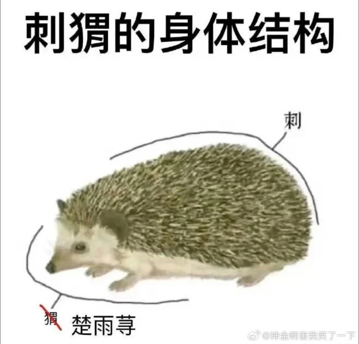 5953哈哈哈哈