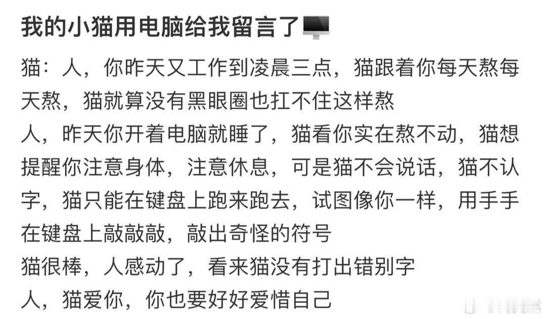 我的小猫用电脑给我留言了​​​