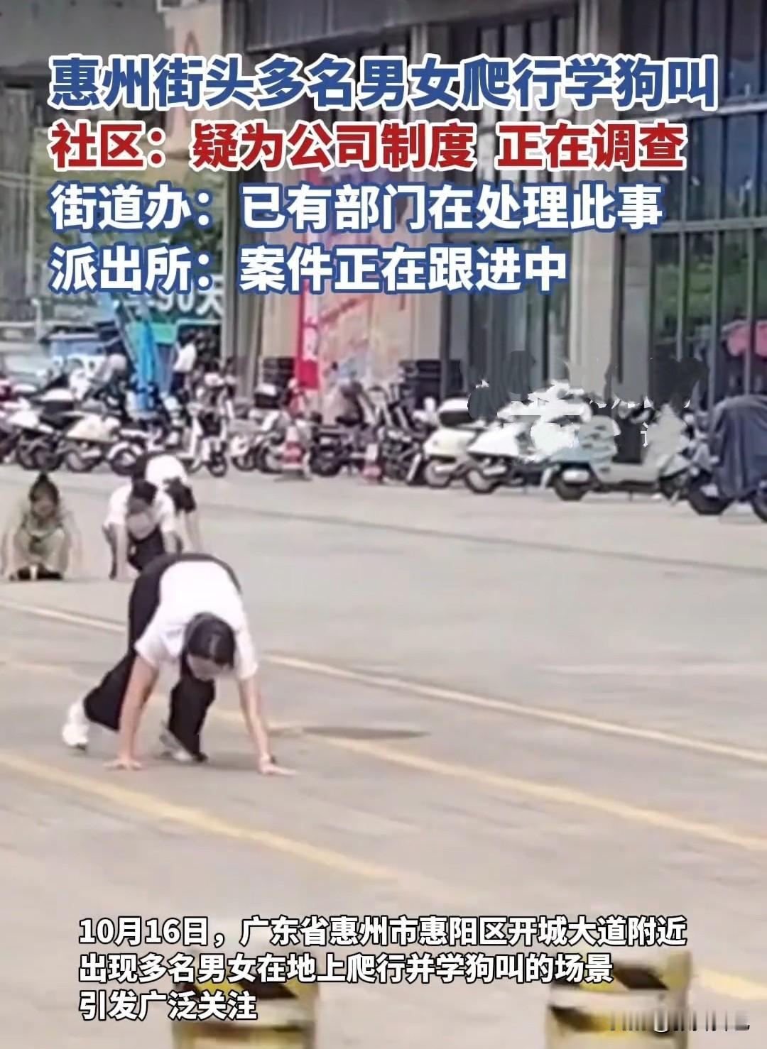近日，广东惠州惠阳某街道上，一群男男女女在街道上爬行并学狗叫，引来多人围观和猜测