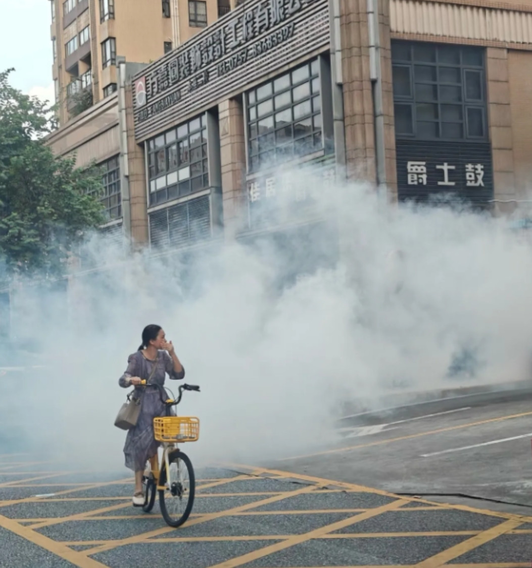 佛山到处都在杀蚊！没用的，半天后新蚊子又出生了，伤的是人的呼吸系统，不疏通排