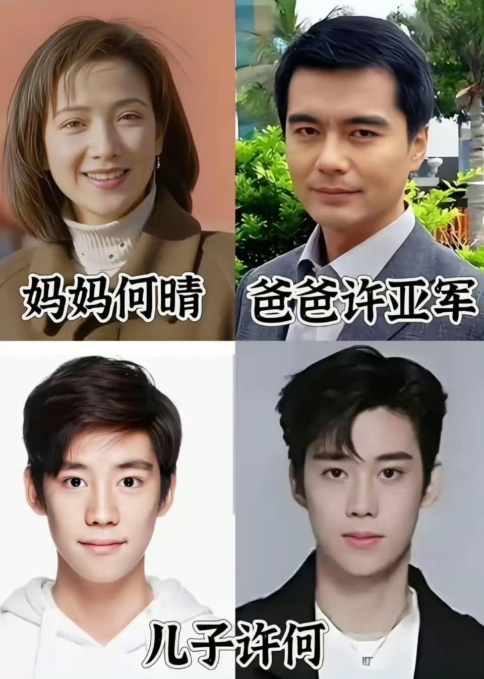 看到何晴儿子名字，我惊呆了，竟然叫做许何！这不就是另一个文爱马吗？许