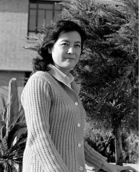 1997年,杨雅琴凄惨离世,可就在她的葬礼上,两任丈夫都拒绝出席,临终之际,她含