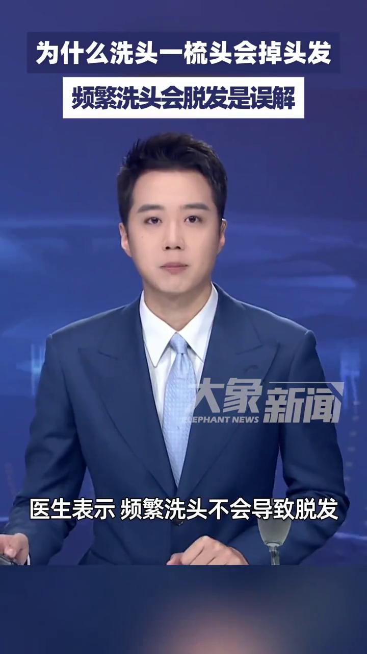 频繁洗头会脱发是误解，你多久洗一次头？为什么洗头一梳头会掉头发？大象新闻主播杨
