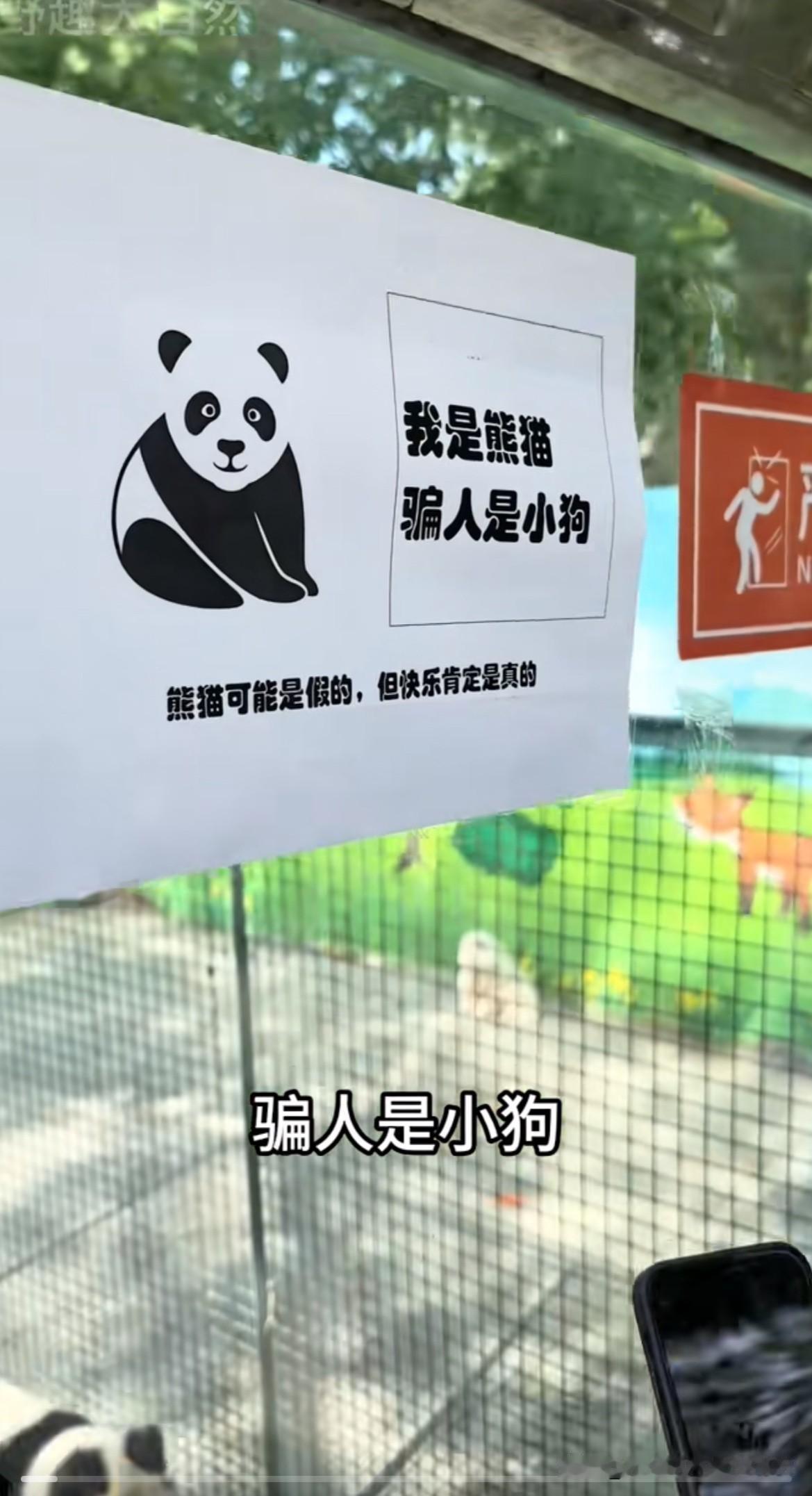 山寨版的动物园😏熊猫🐼