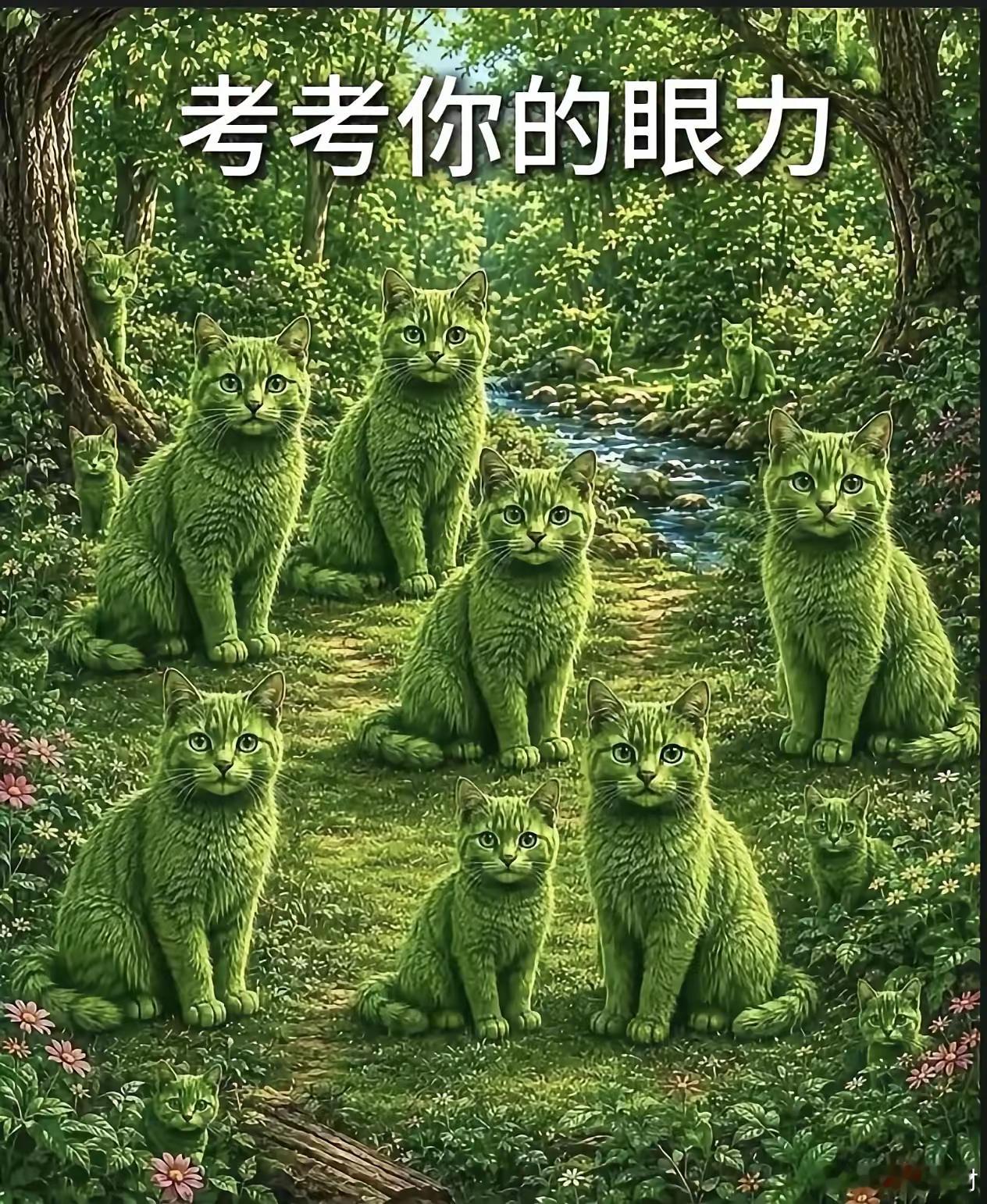 你属于哪个档1.0～8只眼睛不算瞎2.9～12只