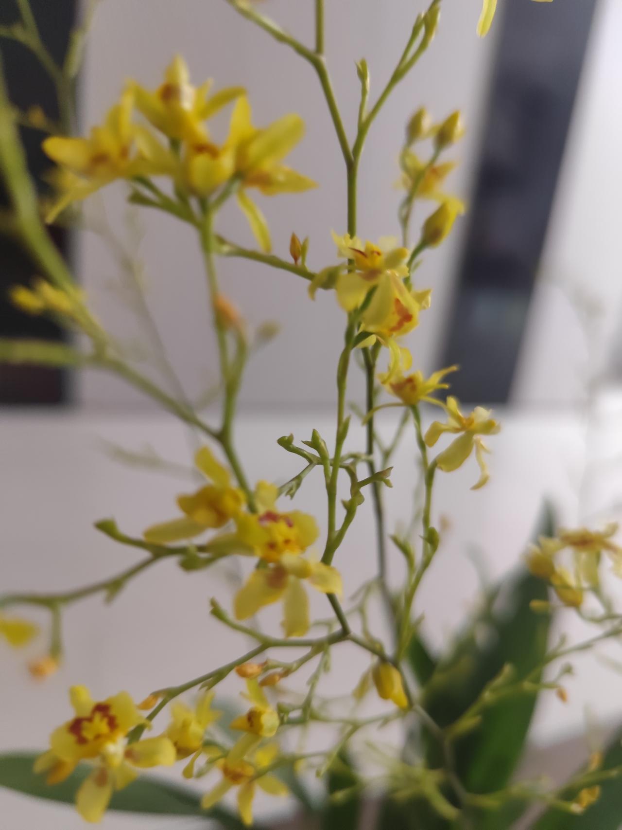 现在很多人缺少起码的同情心。宋清辉，这个人你可以不喜欢，但他悼念自己的孩子，还