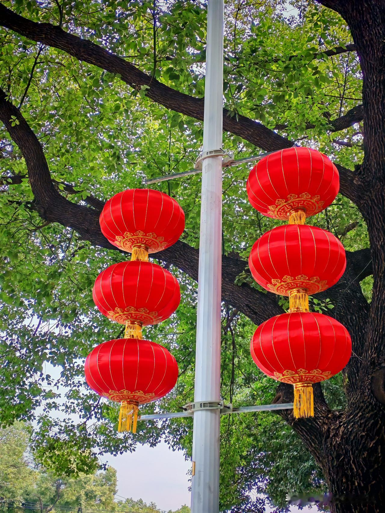 初四悟了：过年高调，是给自己挖坑大年初四，在楼梯口听邻居老周一顿唠叨，我越