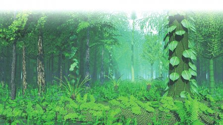 2.5亿年前一场“森林倒塌”如何演变成全球性灾难