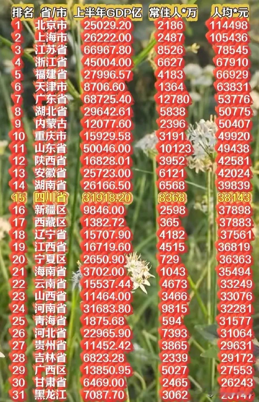 2025年上半年中国大陆各省市区人均GDP排名情况，图片里属于2025年我国大陆