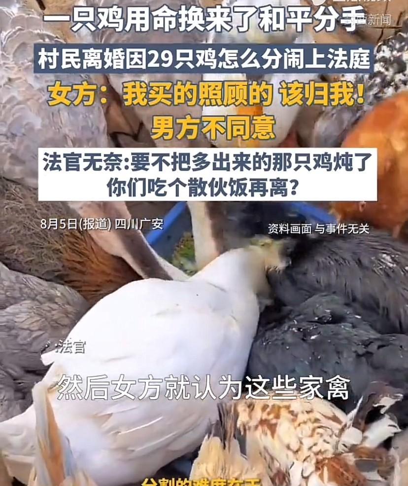 夫妻俩闹离婚，要求法院分割29只鸡、22只鹅和2只鸭子。因平均分配多出一只鸡，双