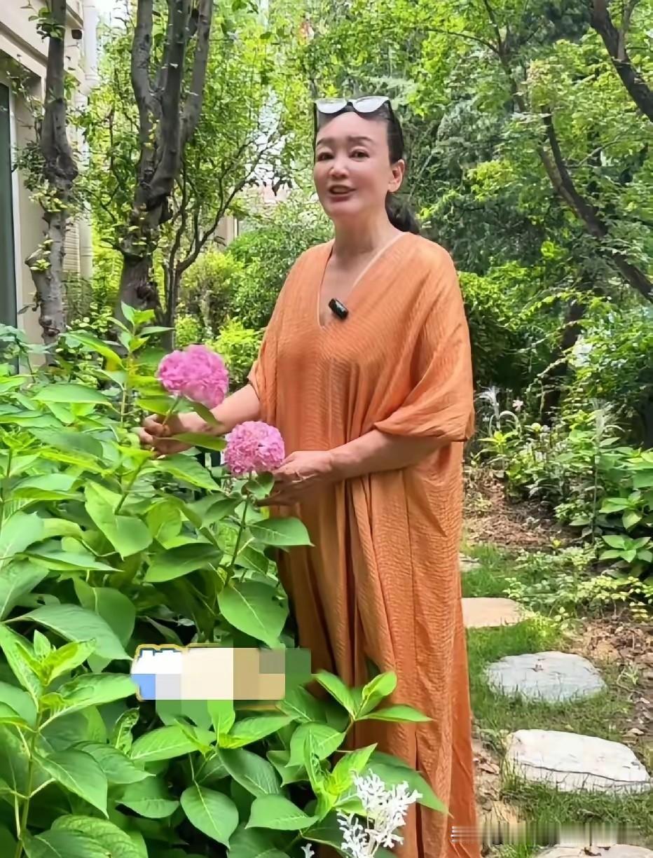 要说兰姐这波操作，属实是高手过招，杀人不见血！看着自家绣球花开得漂亮，顺势聊起