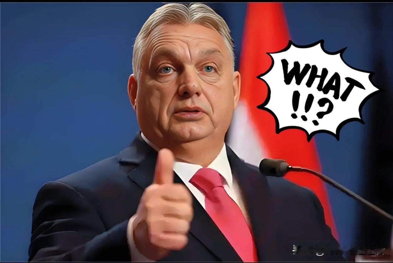 快讯，快讯！匈牙利外长爆出一则消息！当地时间11月5日，匈牙利外长西雅尔表示