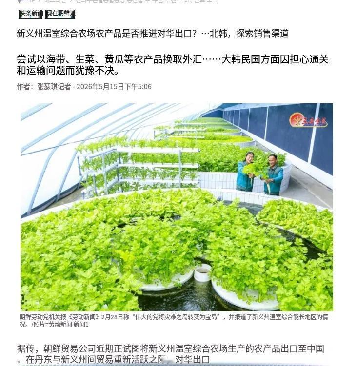 干着急没办法！朝鲜罕见发力，大批业务员紧急奔赴中国丹东，全员出动只为一件事——为