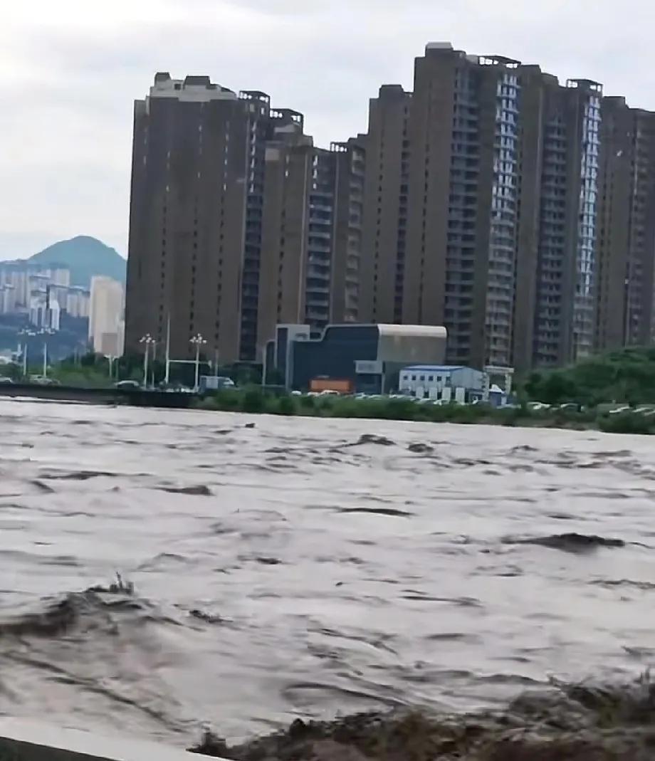 清晨，上海的雨还没有停，是中雨还夹杂着风，潮湿闷热听说台风已经到了浙江，不知会
