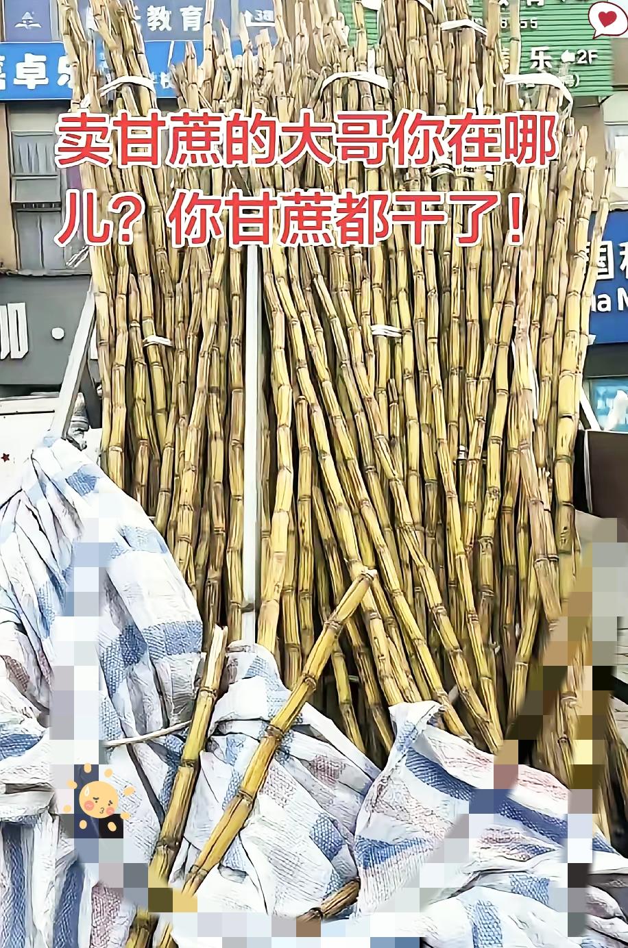 太暖心了！成都这堆枯甘蔗，暖的不只是一座城，更是普通人之间最珍贵的牵挂。楼下卖