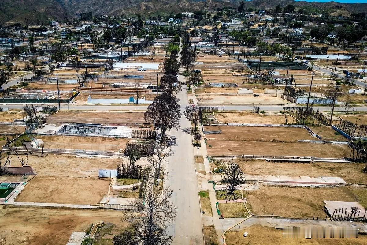 特朗普对纽森说加州建筑许可证你不发换我来发距离洛杉矶大火已经过去