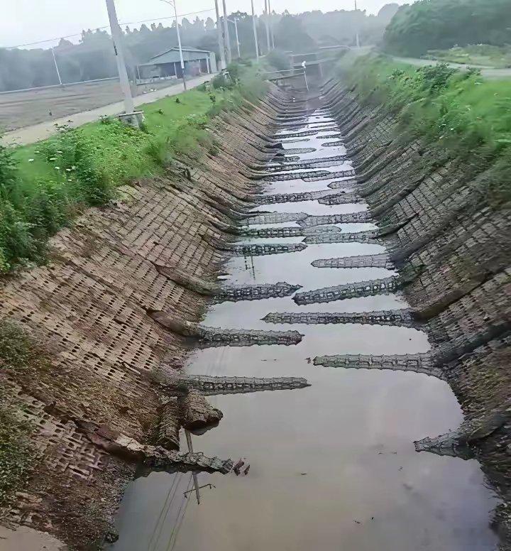 现在才知道为什么茅台这么贵了​​​