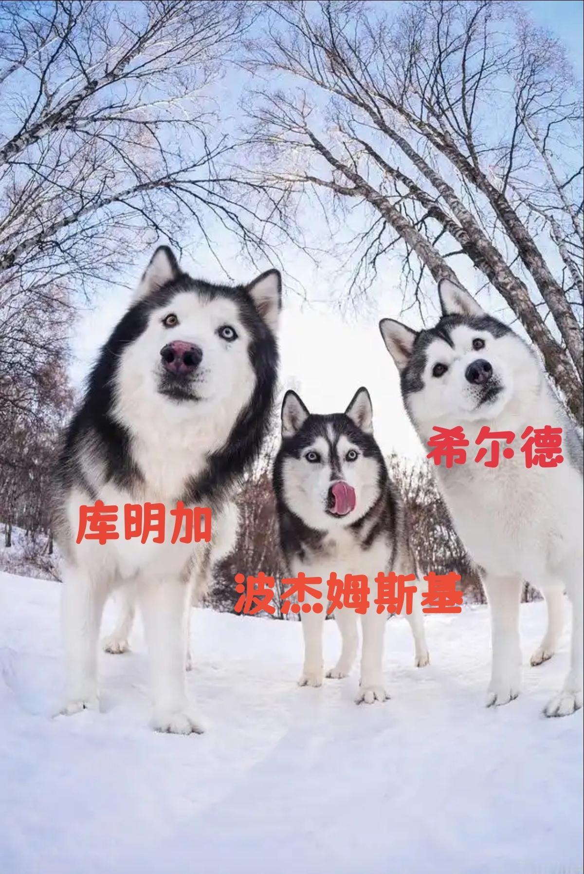 两连败之后的勇士，回头一看，哎呦我去，留给勇士的时间还有很多。五库勇士打了两