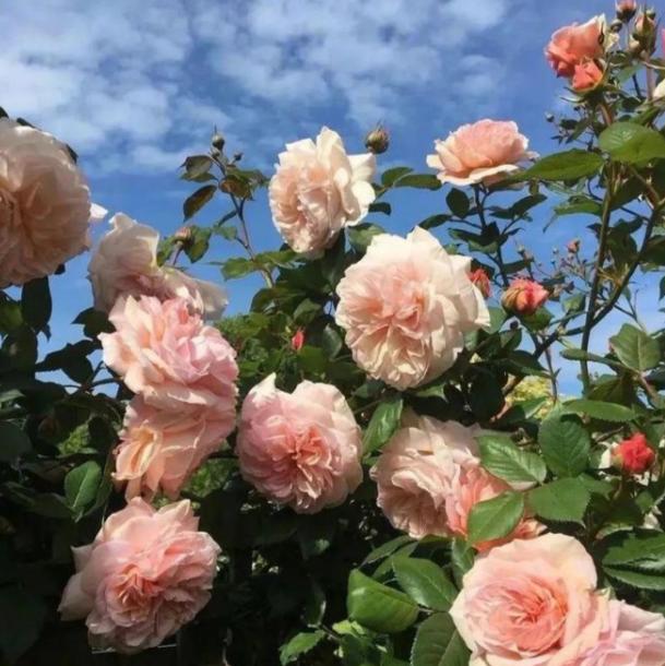 非常扎心的八句话：半夜发朋友圈的人：不是失眠，是没人可说心里话总是秒回消