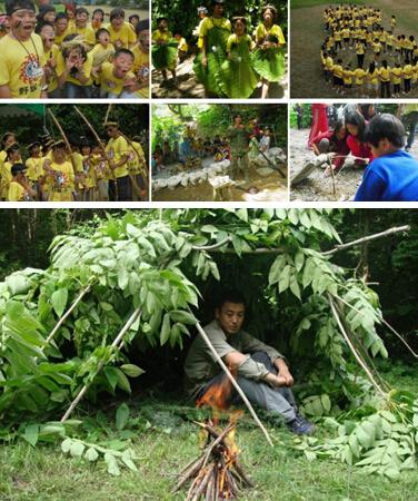 荒野求生36天杨朝芹究竟经历了什么？一把柴刀，一身勇气，她在张家界七星山