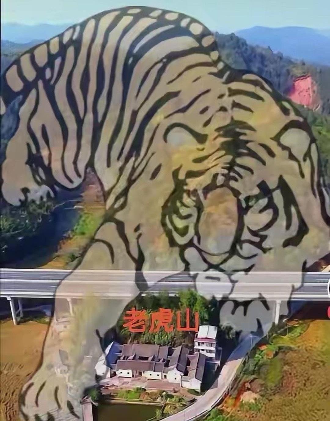 都快成型了高速公路不能绕开吗？